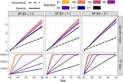 Genomic Selection for Any Dairy Breeding Program via Optimized Investment in Phenotyping and Genotyping